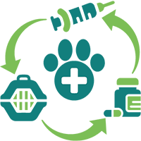 Patient Workflow