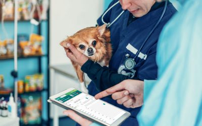 Five Myths About Veterinary Cloud Software