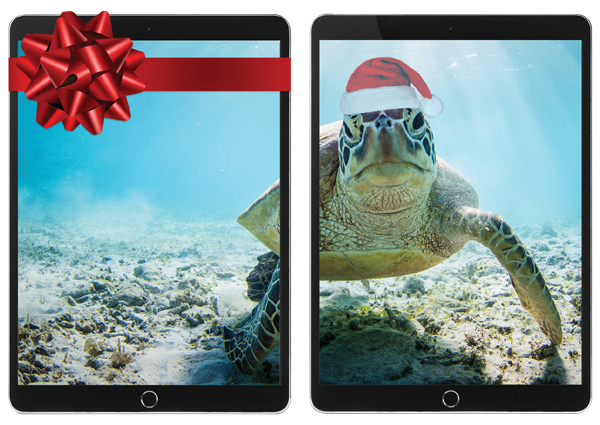 black_friday_ipad_split