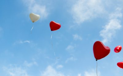 Five Things Veterinarians Love About NaVetor Cloud Software