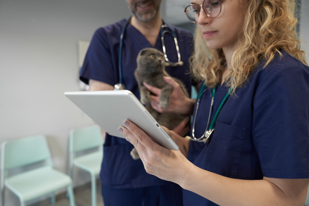 close-up-two-veterinary-doctor-analyzing-medical-record