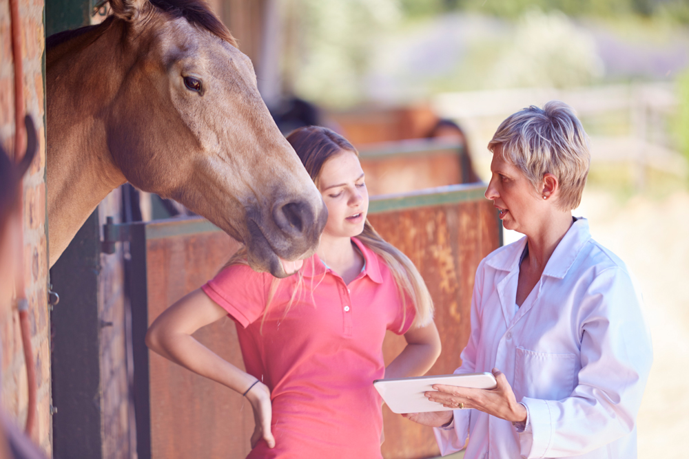 veterinarian with digital tablet talking to teenage