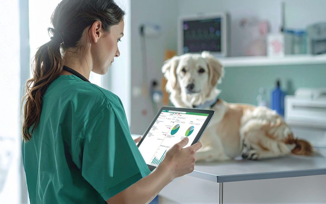 veterinarian using software