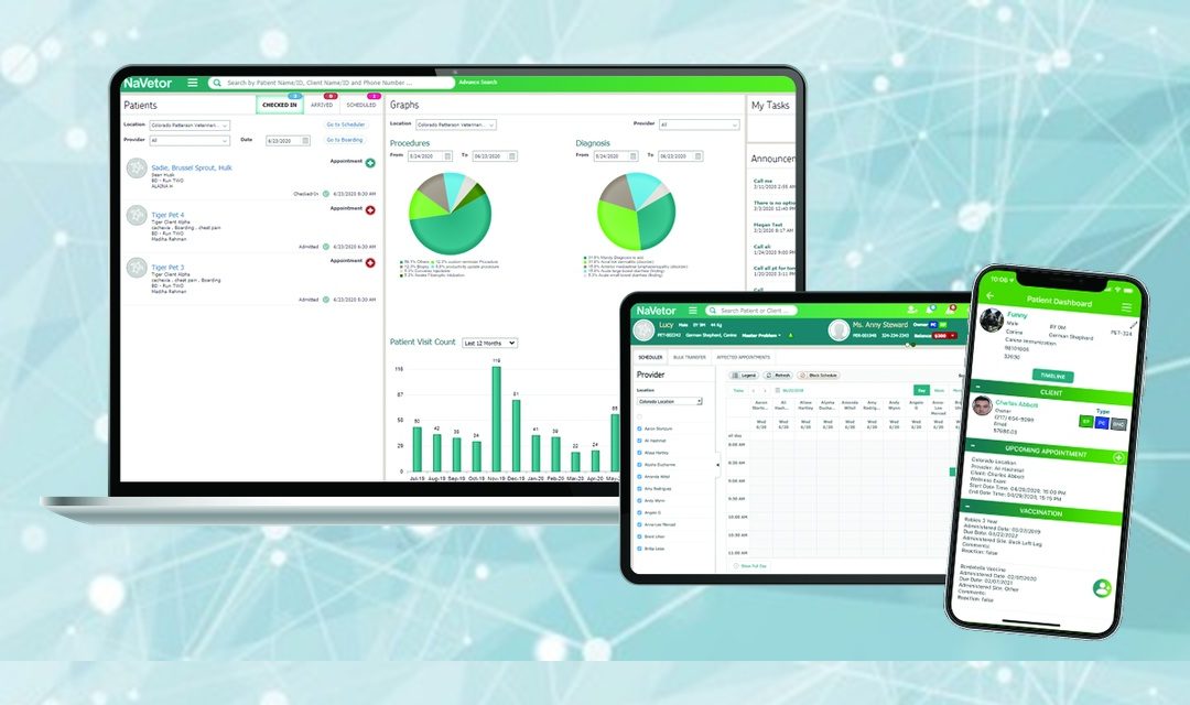 What’s New With NaVetor?